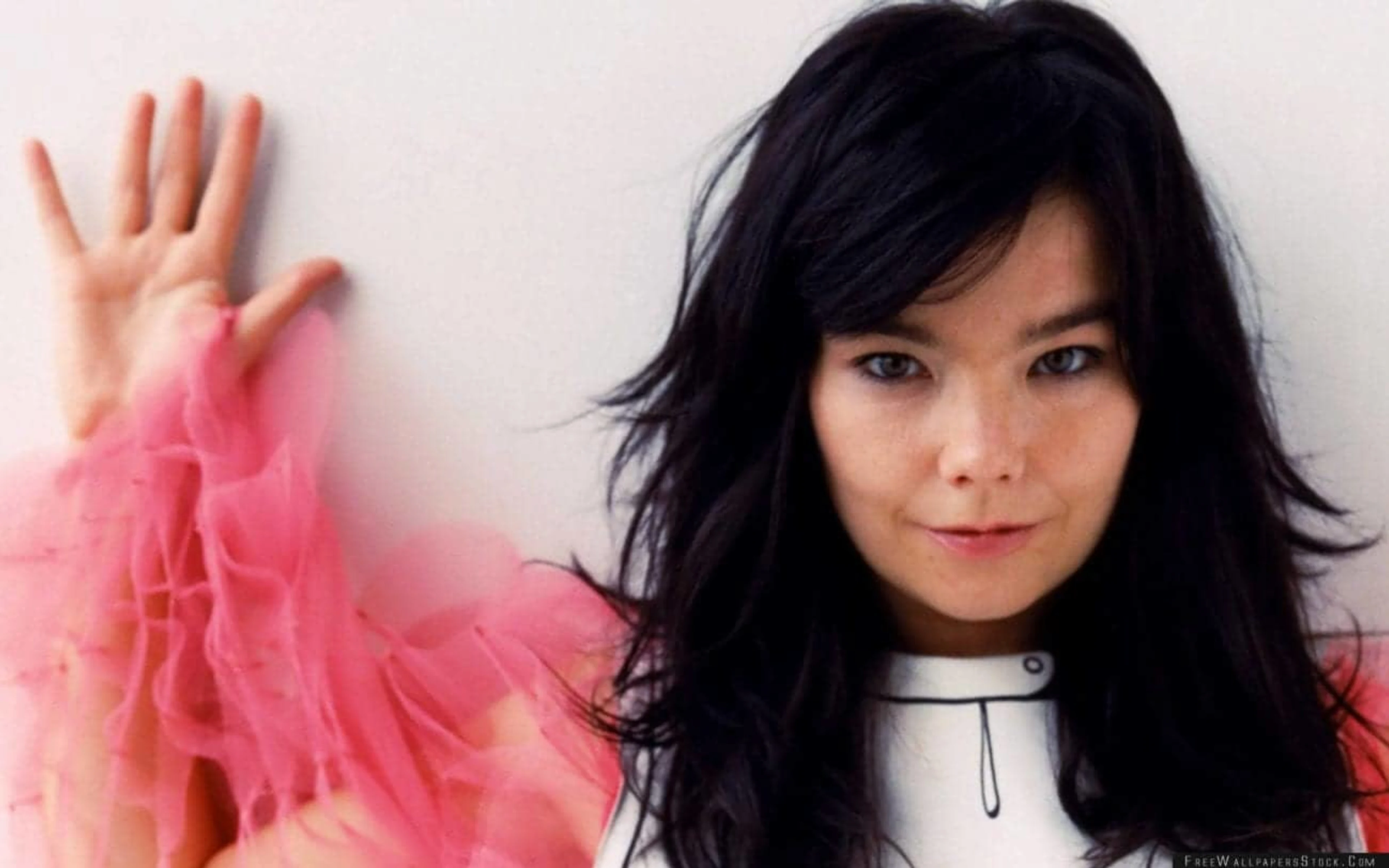 Bjork regresa despues de 10 años